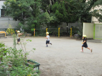 IMG_6809-2